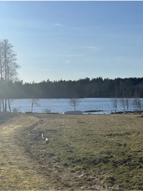 ein erfrischendes Bad in der Natur.