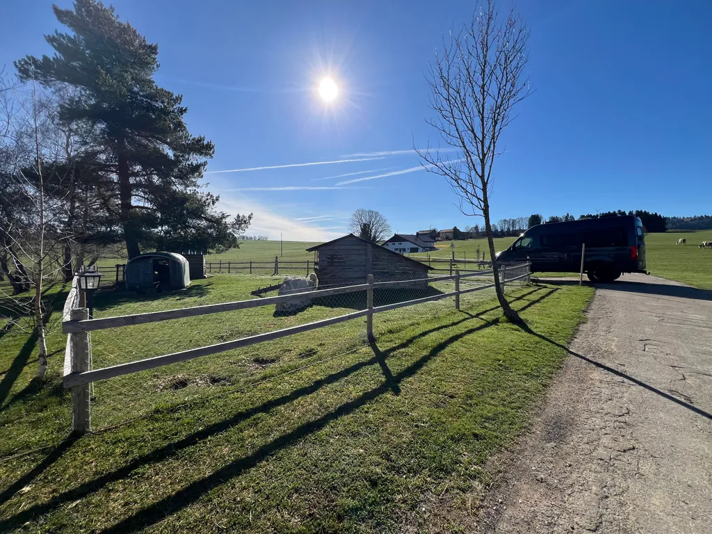 Bild von Juliane für den Spot 875