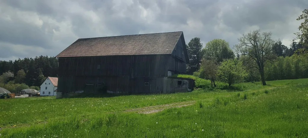 Wiese am Waldrand mit Aussicht