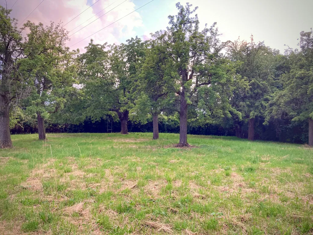 Stadtrandidyll, Camp im Wandelgrund