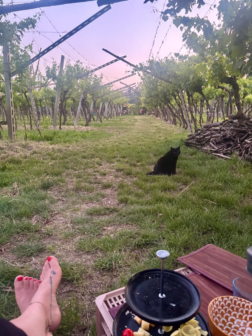 Bild von Ines für den Spot 1107
