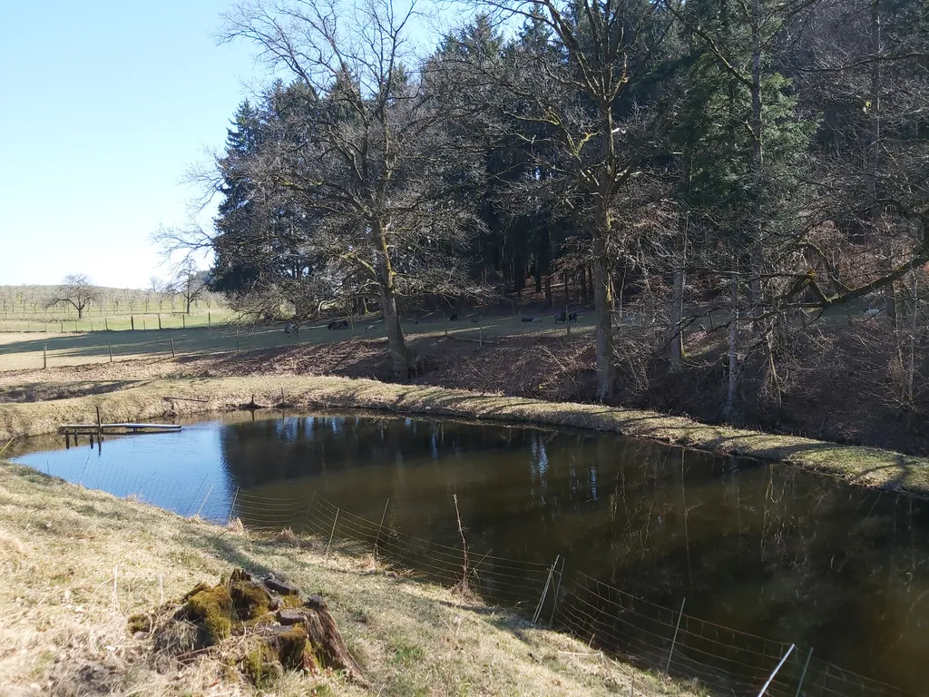 Mitten in der Natur zwischen Bodensee und Allgäu