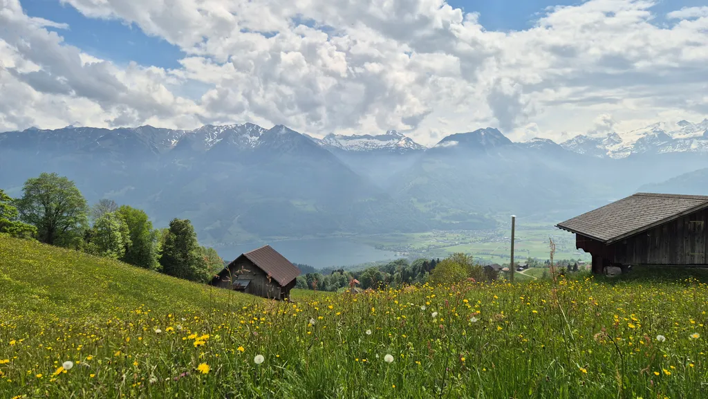 Bild von René für den Spot 635