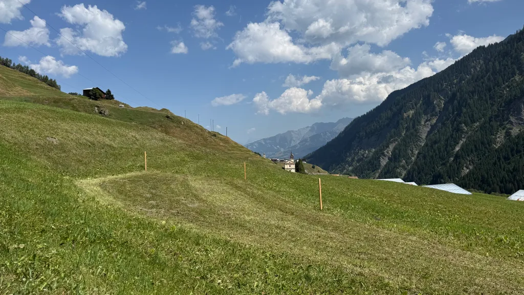 CampCons II nahe der Greinaebene