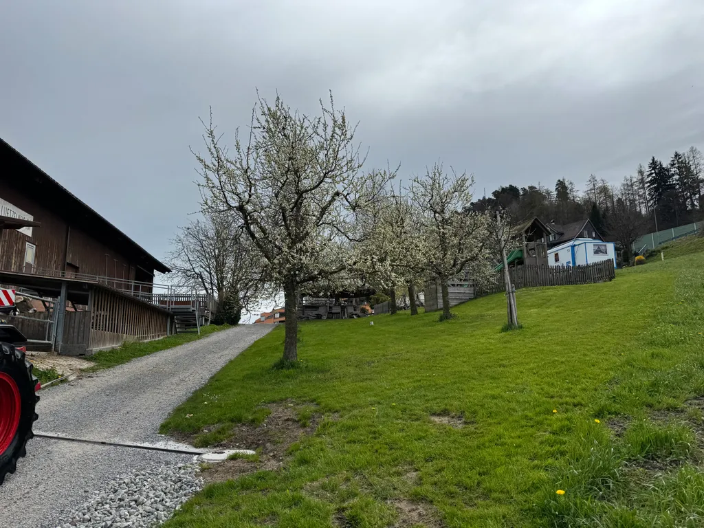 Image by Martina for spot 247