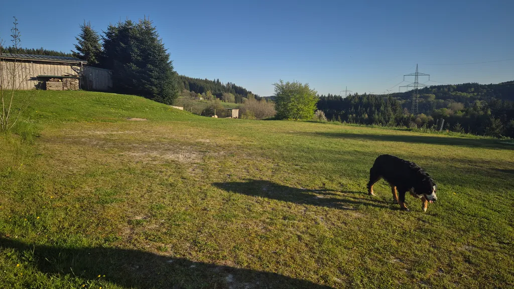 Stellplatz mit Bonny