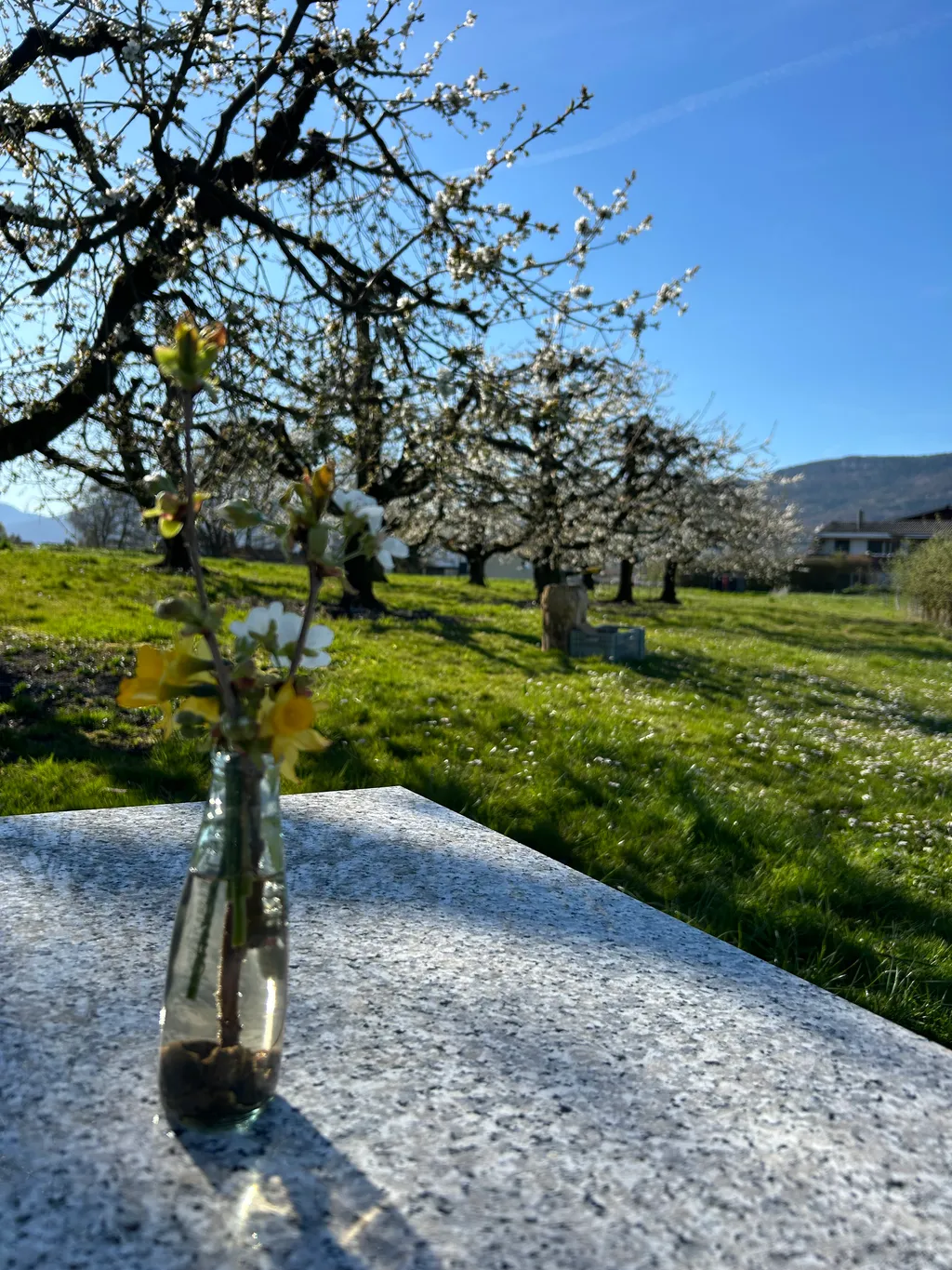 Bild von Jana für den Spot 307