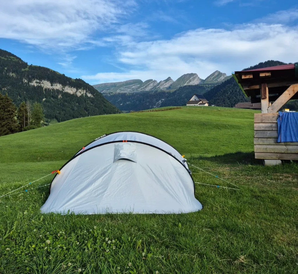 Wald- und Wiesenblick