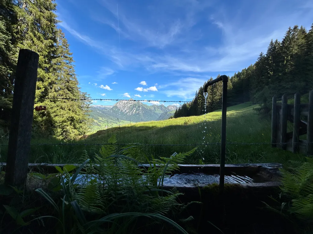 Bild von Delphine für den Spot 442
