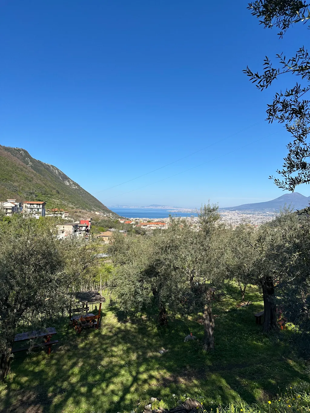 Bild von Henry für den Spot 1103