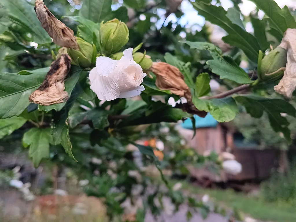 Bild von Madalena Maria für den Spot 765