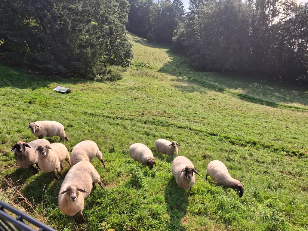 Unsere Bio Rasenmäher.