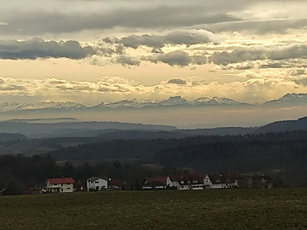Wiese mit Fernblick in die Alpen