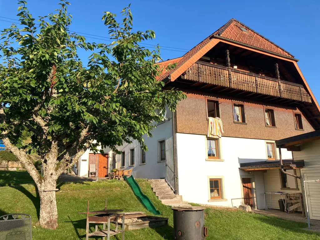 Image by Manuela for spot 1451