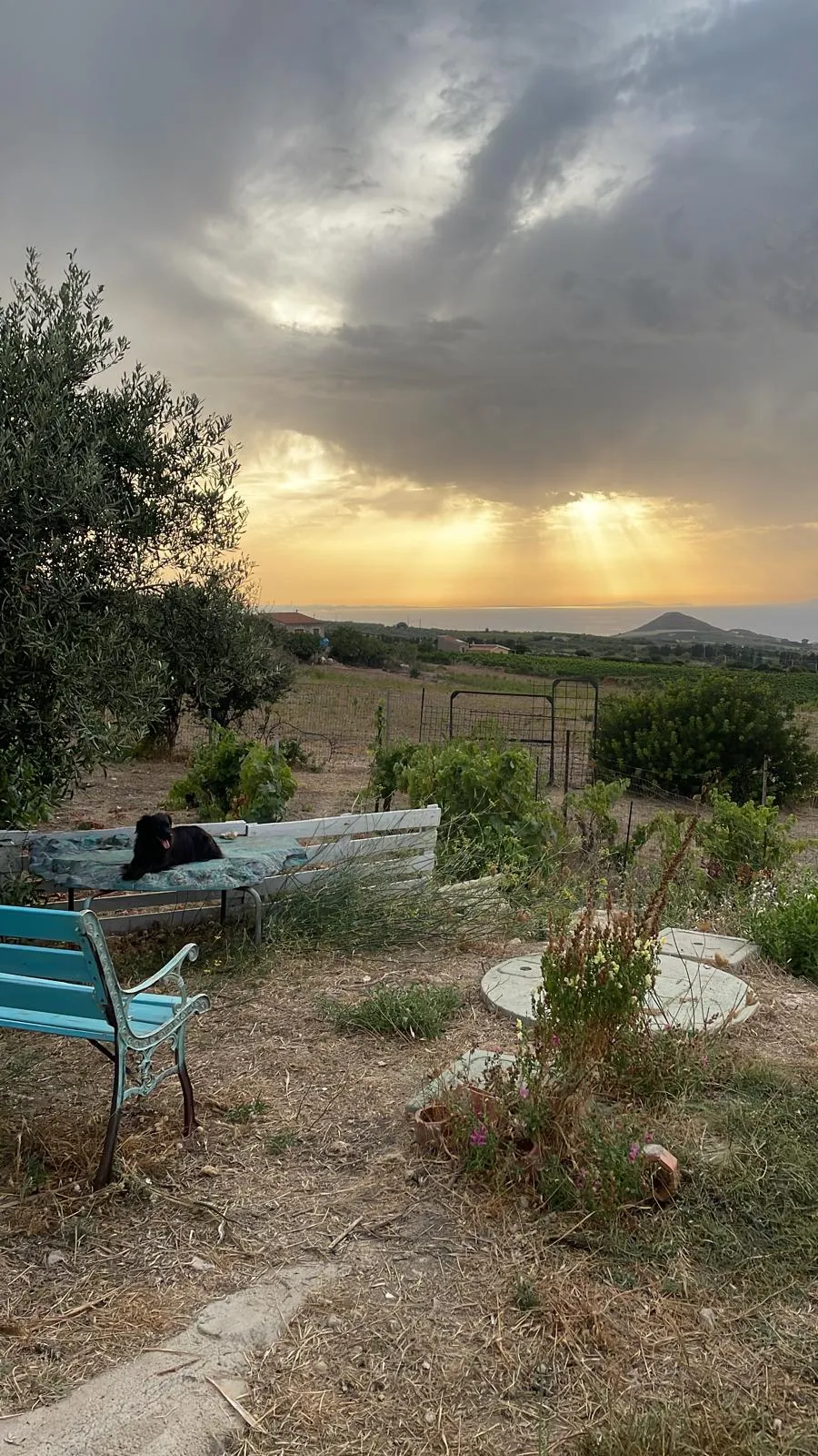 Panorama dall' Oasi di Cinzia