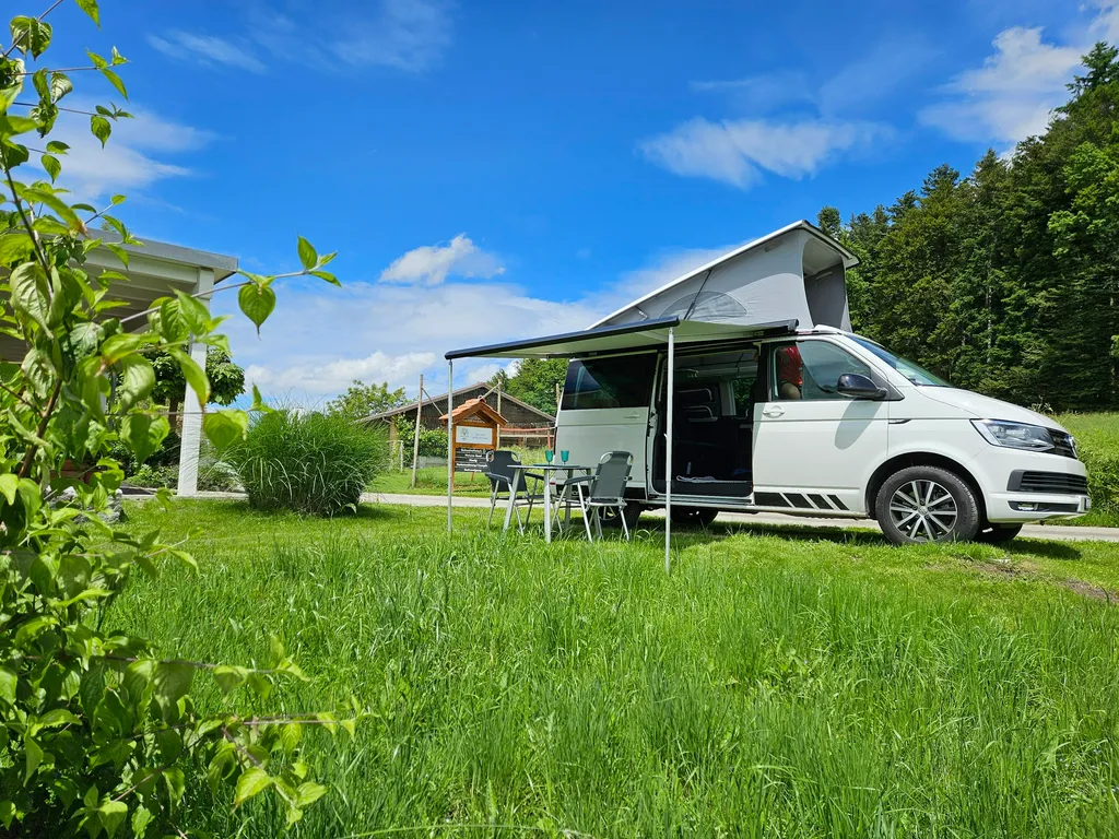 Vogelhof Camp "Herzfreudig"
