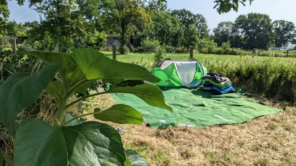 Sommerlaune-Erlebe die Milchstraße!