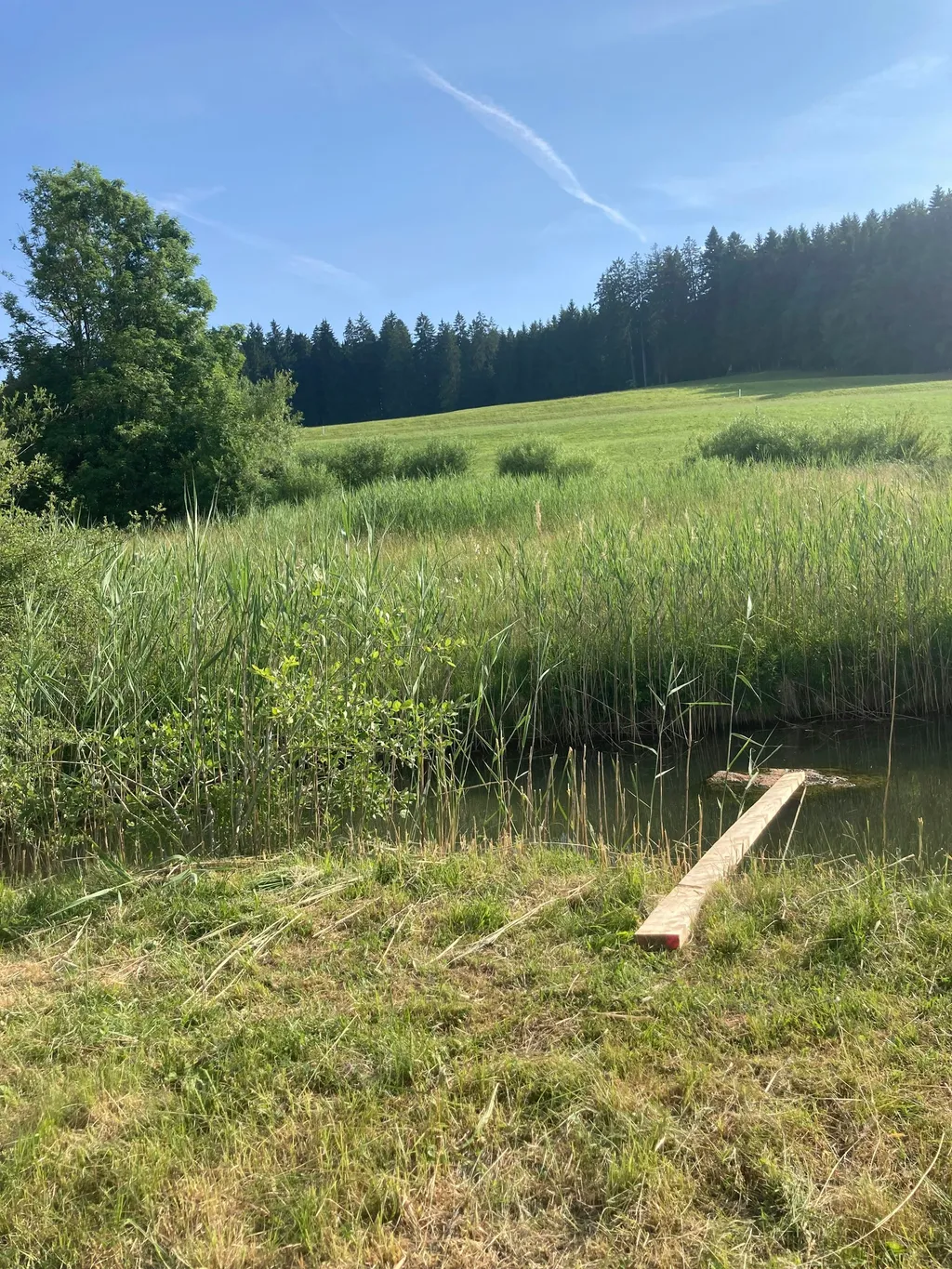 Zelten Bodensee - Königsseeradweg