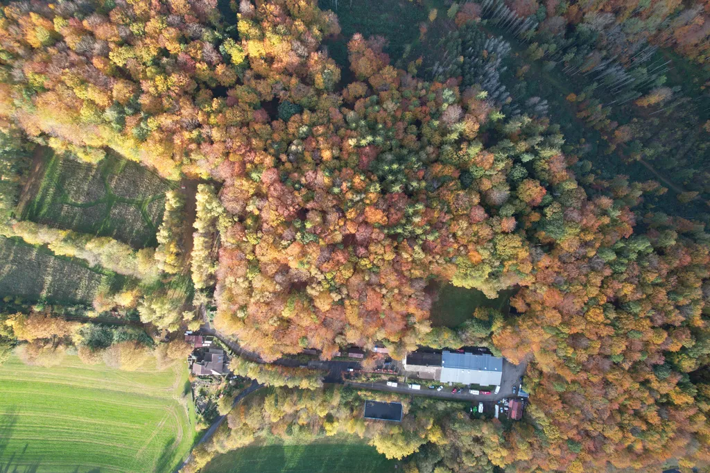 Vanstellplatz im BuchengrĂŒn