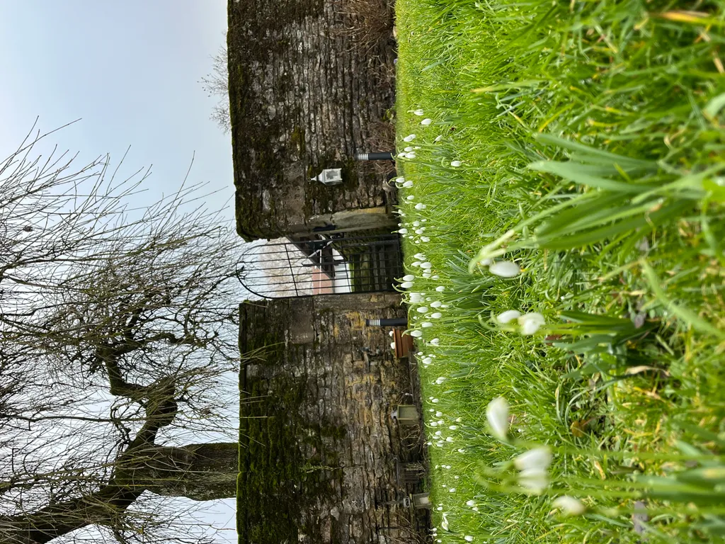 Hofgarten, Ruhe und Natur