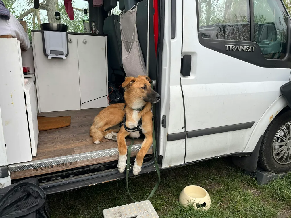 Profilbild von Sonja