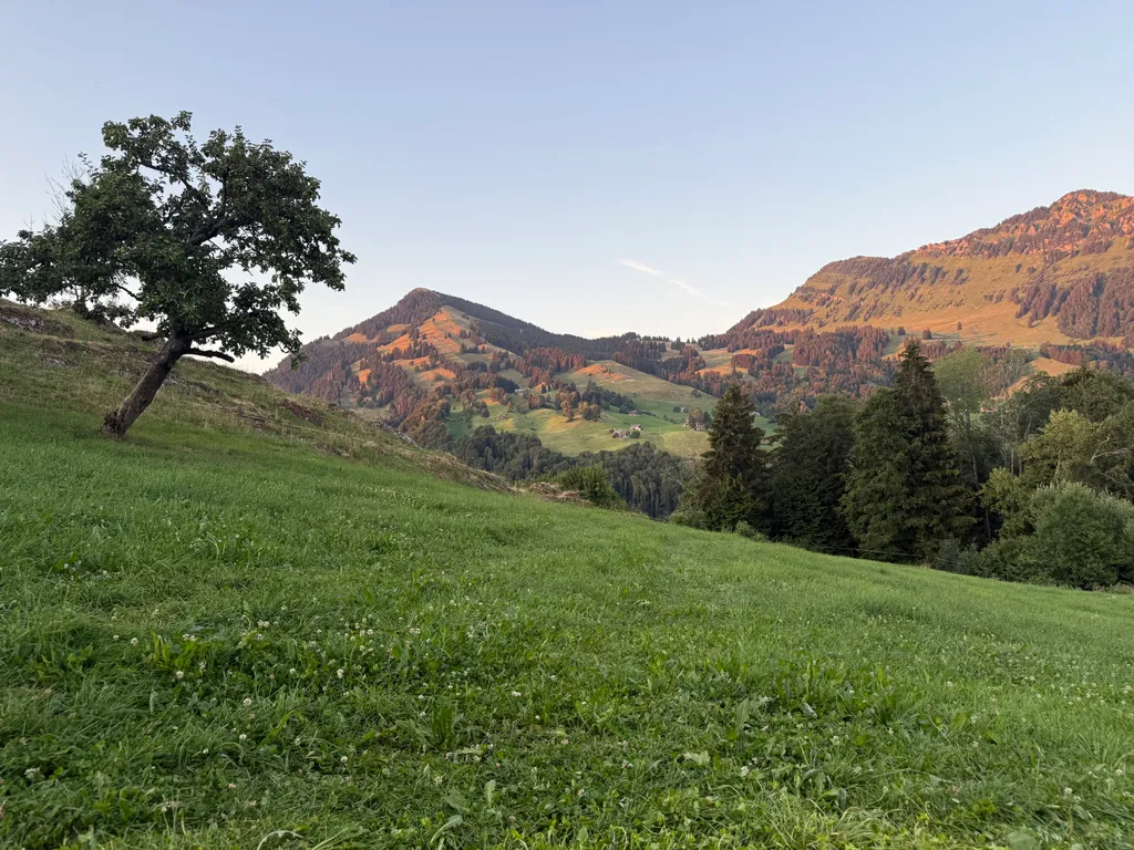 Bild von Stefan für den Spot 4575