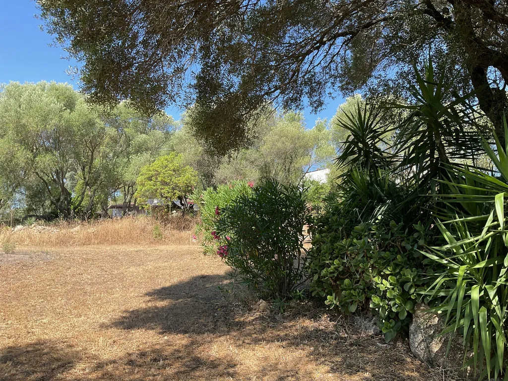 Naturparadies im Norden Sardiniens