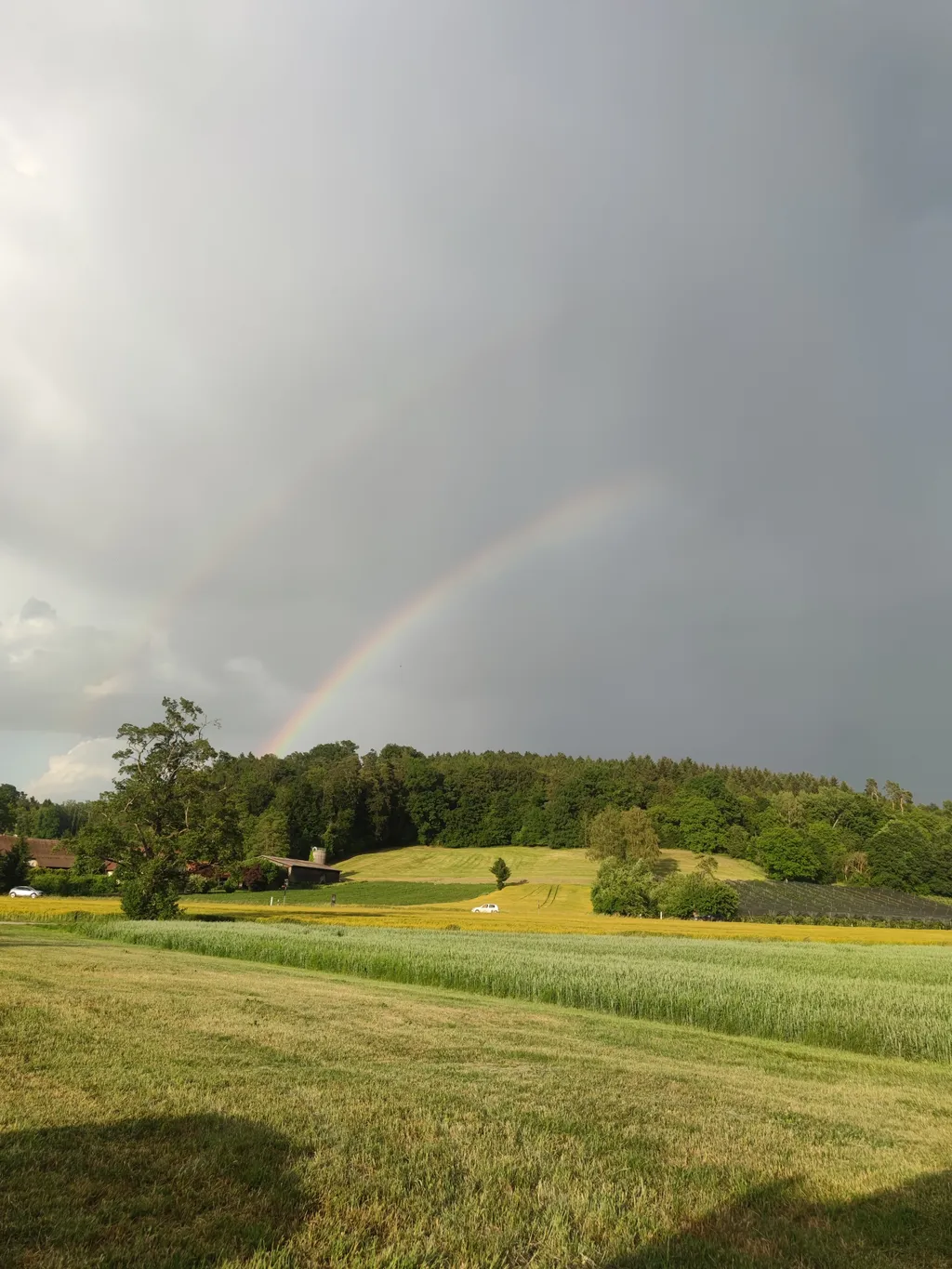 Bild von Viktória für den Spot 4179