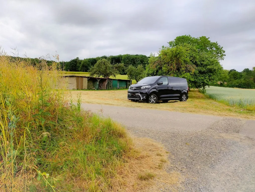 Obstbaum-Wiese inmitten von Feldern