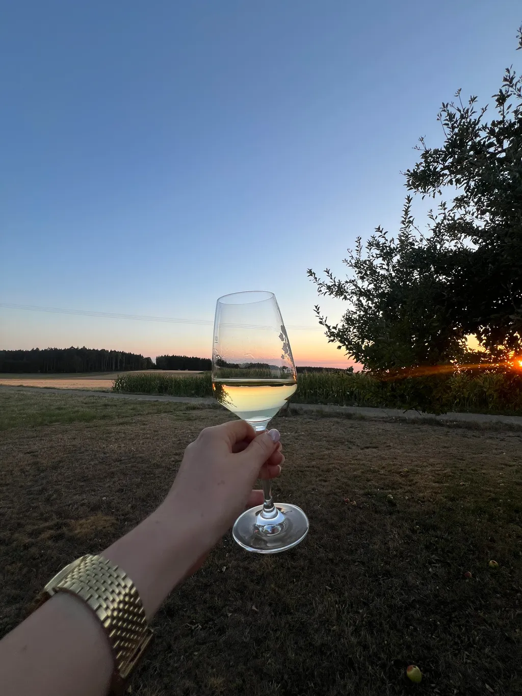 Obstwiese mit Weitblick am Waldrand