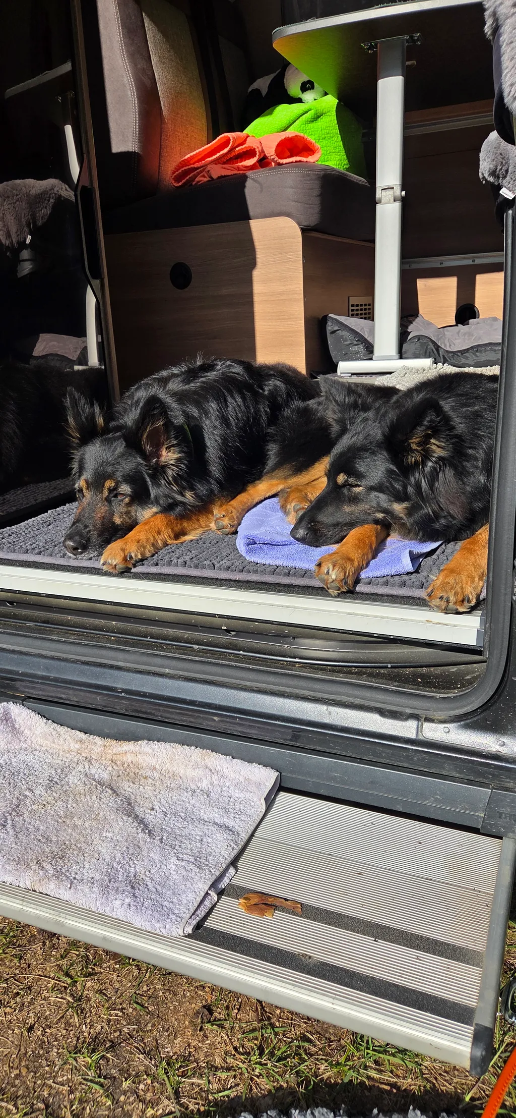 Bild von Karina für den Spot 1649