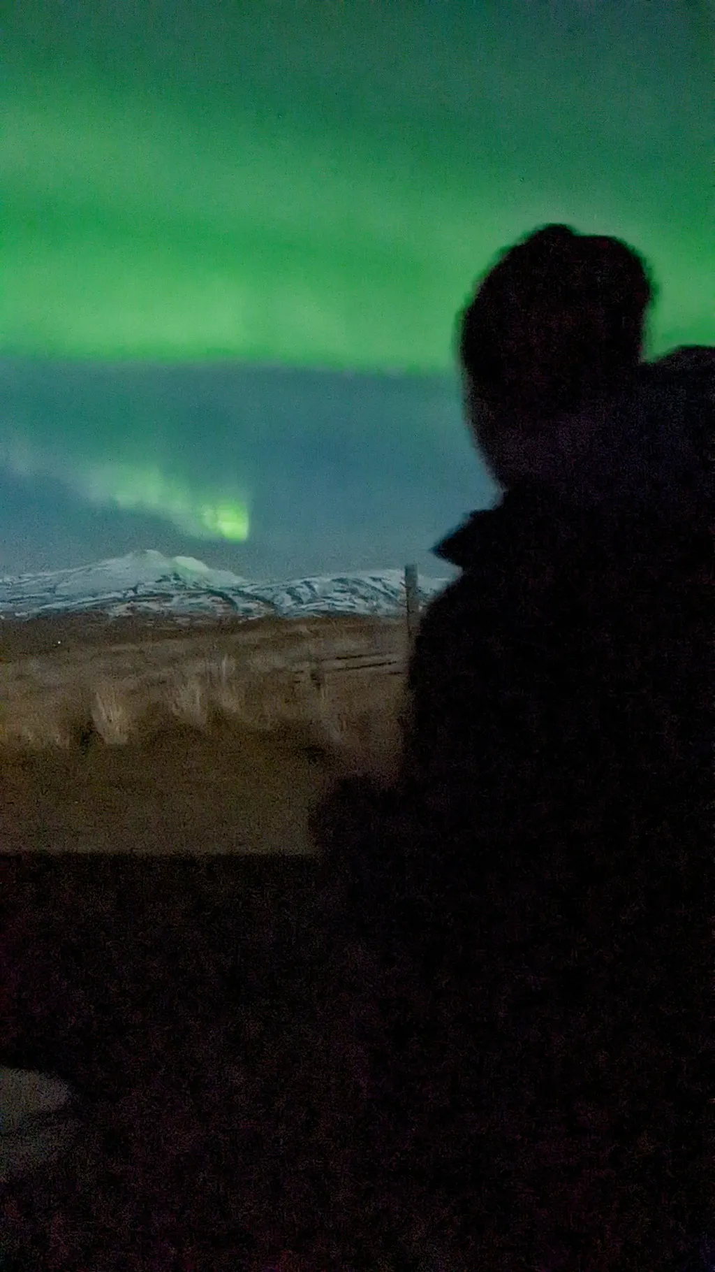 Profilbild von Thomas