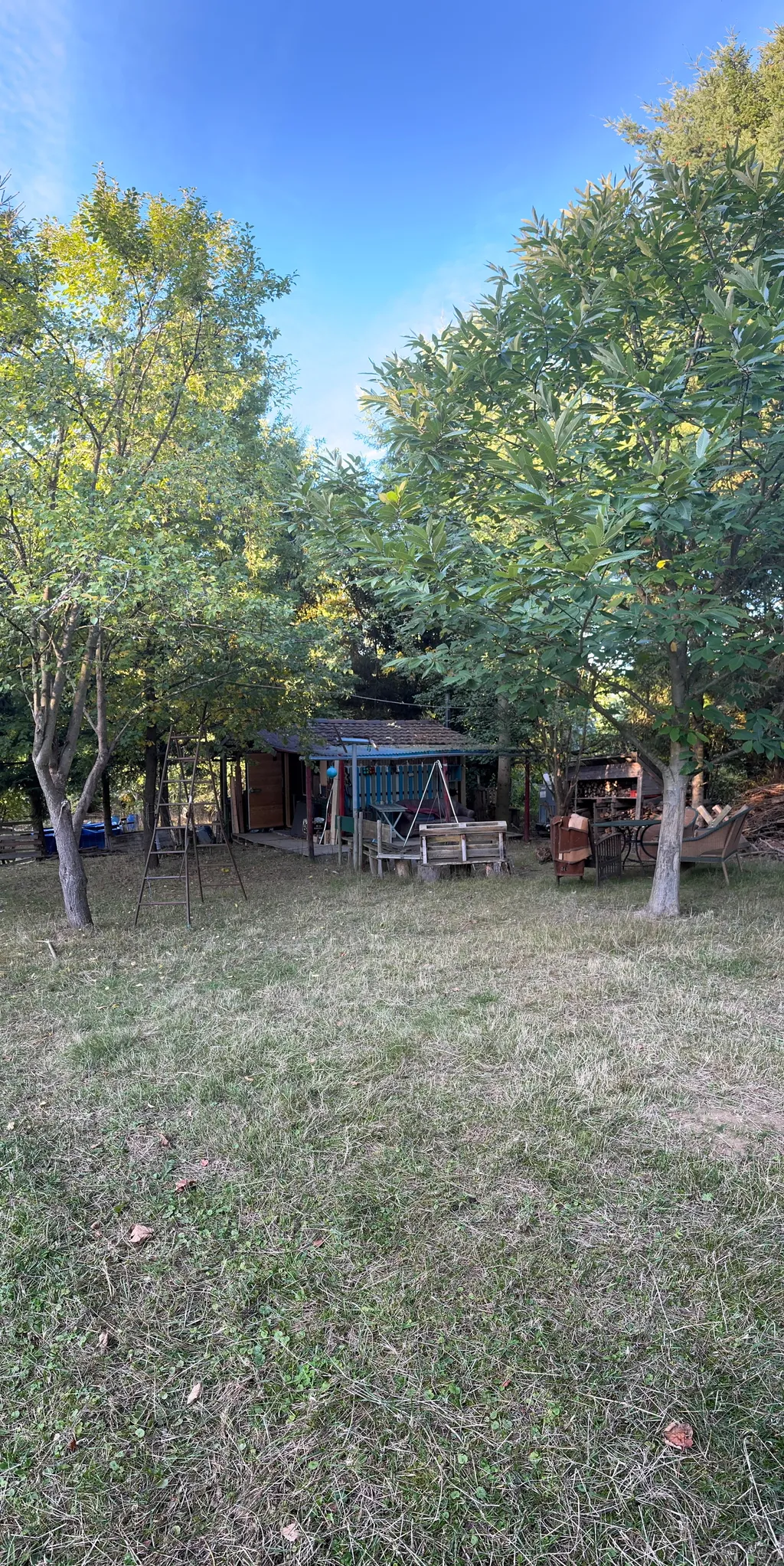 Image de Andrea pour le spot 2819