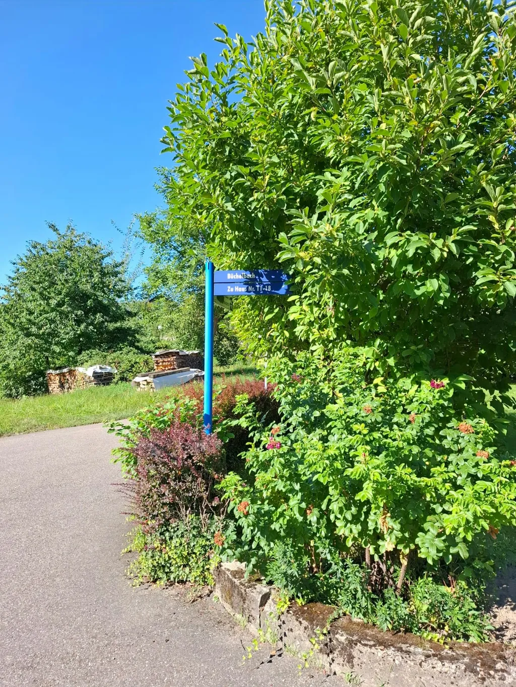 Idyllisch entschleunigen im Zelt 🏕️