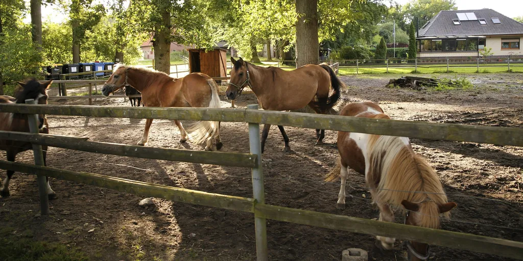 Campingplatz am Ferienhof Cohrs