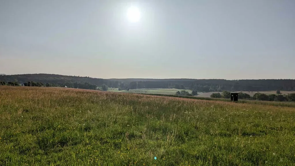 Wiese an der Apfelallee