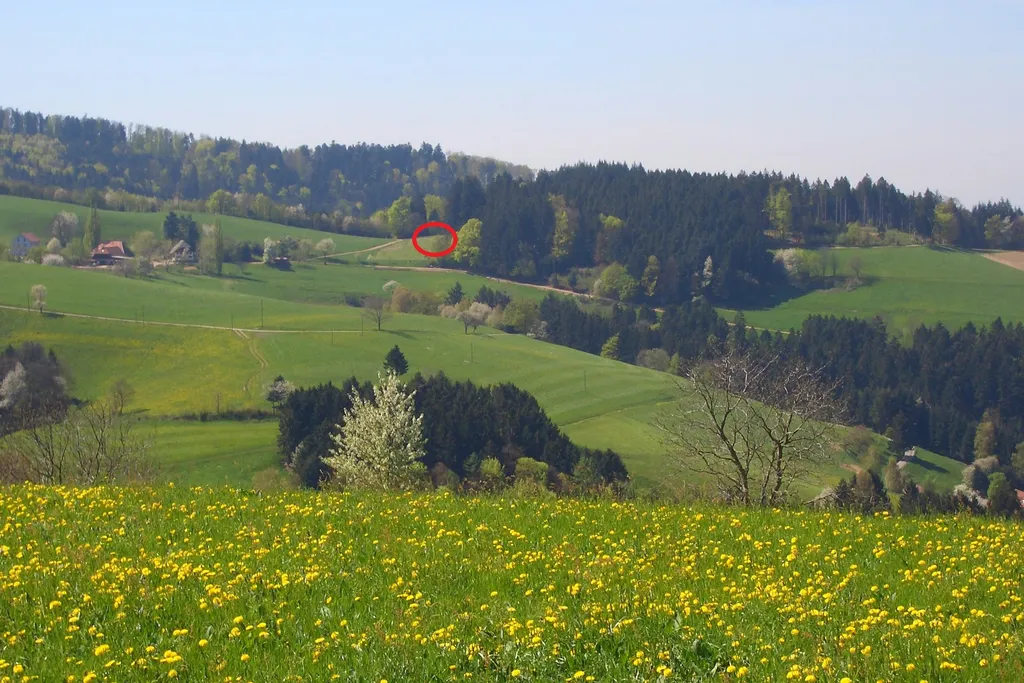 Idyllischer, sehr ruhiger, Platz bei Elli u Thomas