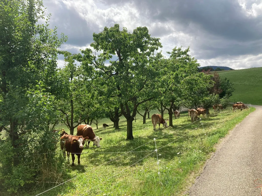 Stellplatz Hof Chastelen