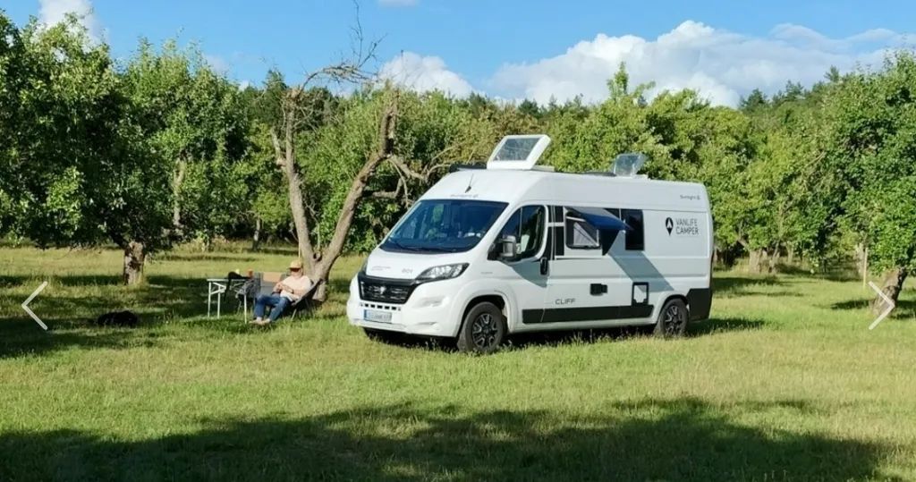 Apfelwiese mit Pferd und Schaf, waldnah und ruhig.
