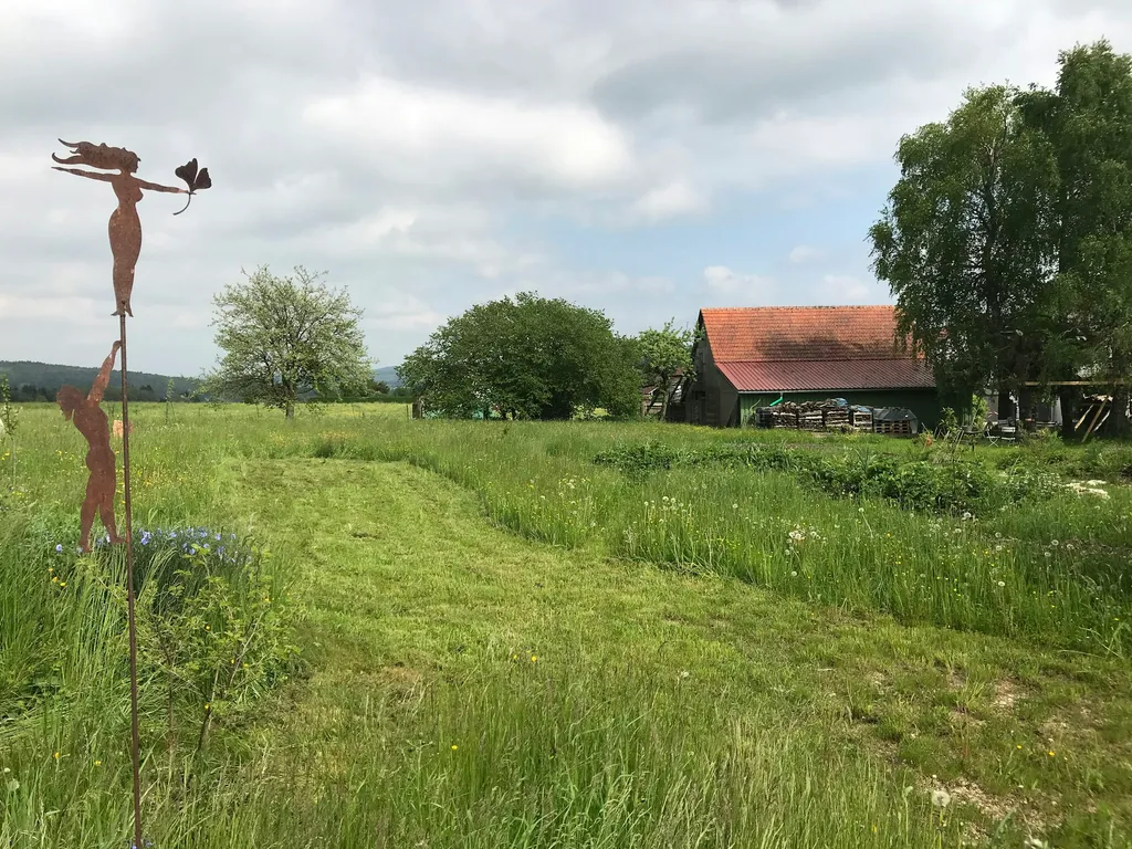Blumenwiese am Ortsrand