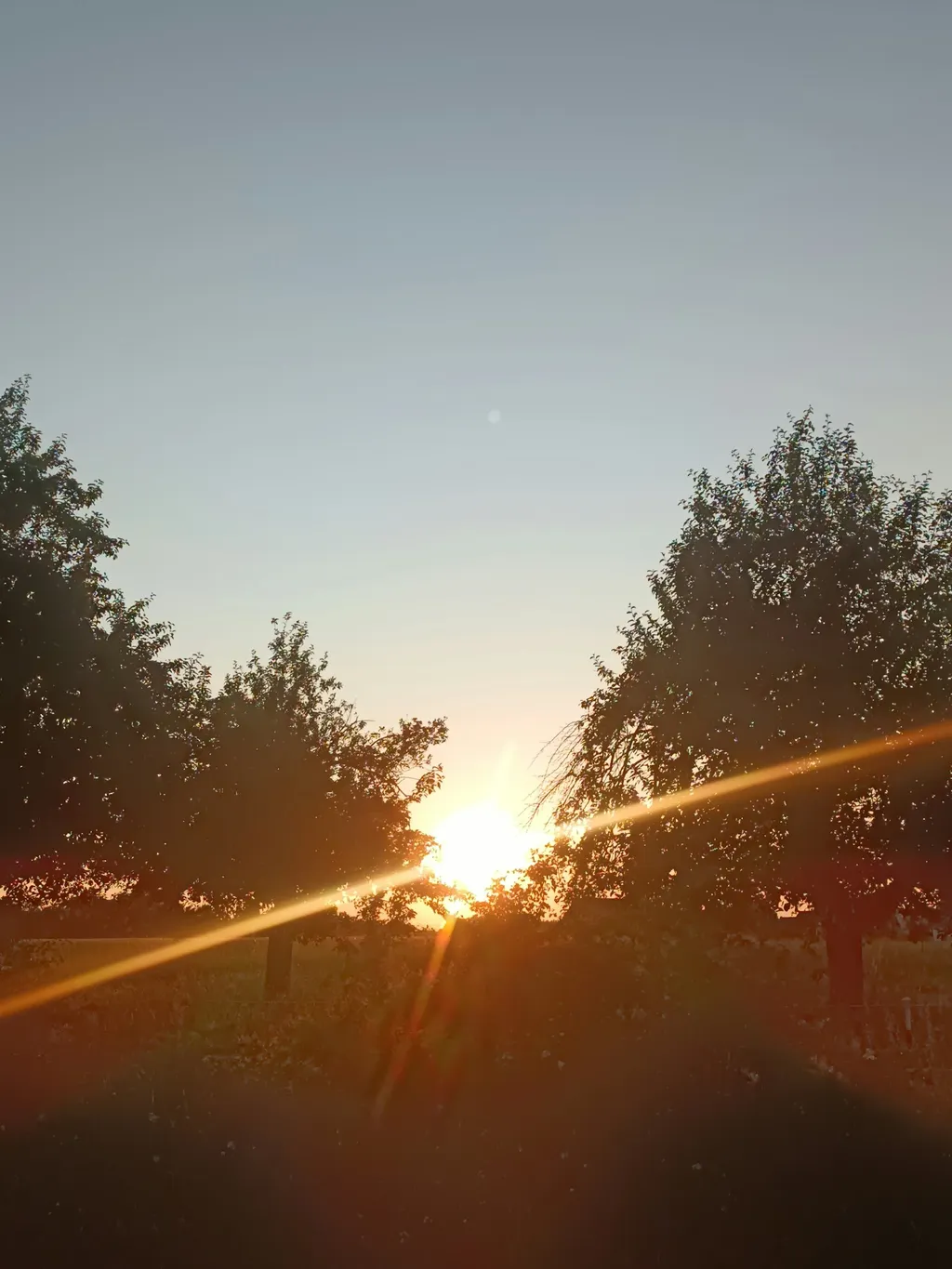 Alexander und Kathrin avatar