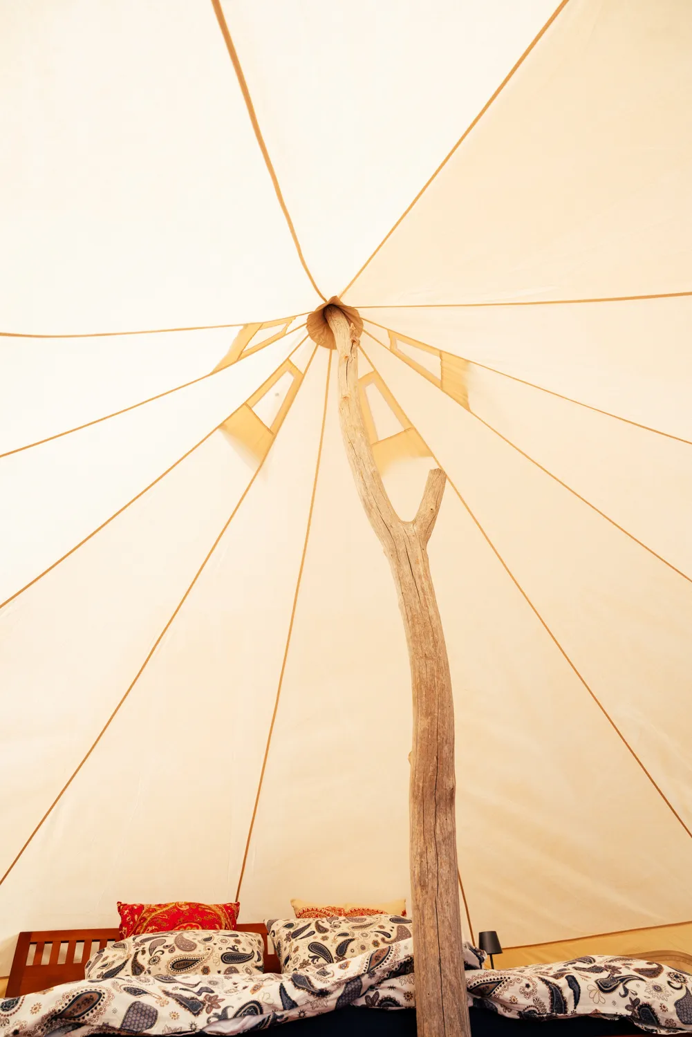 Sahara Tent Dune- Wild Camp Roccastrada