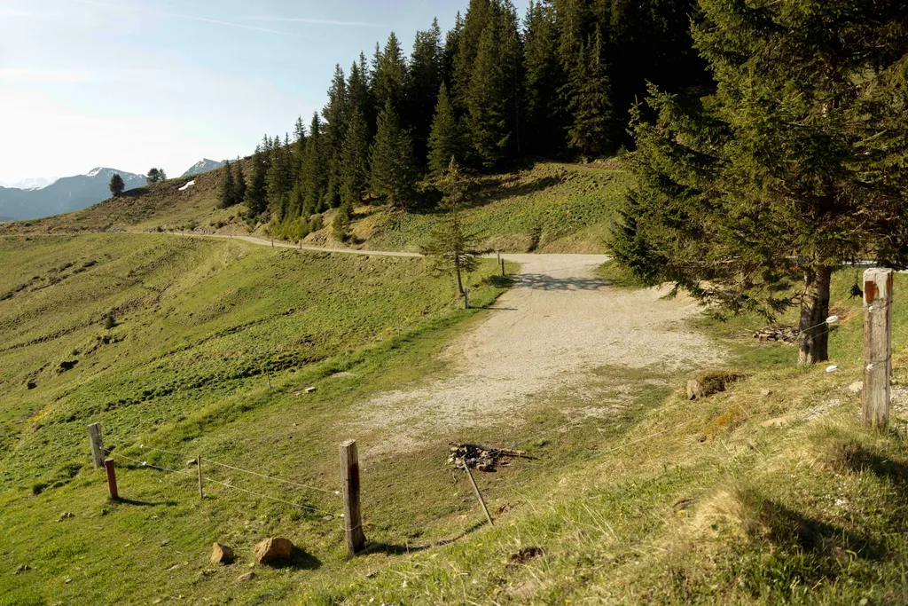 Alp Grosser Schwyberg.ch