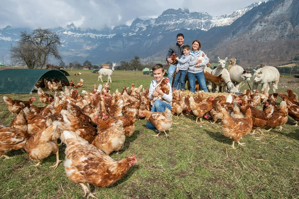 Irene und Robert avatar