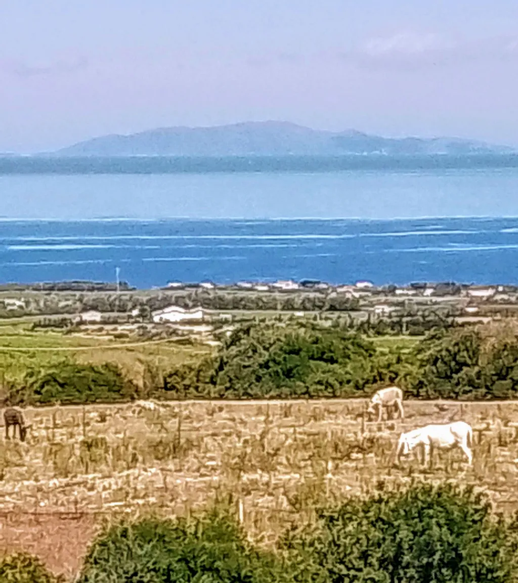 Sardegna-Oasi di Cinzia, vista mare.
