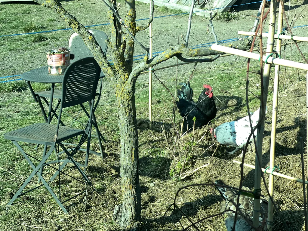 Bild von Thomas für den Spot 1749