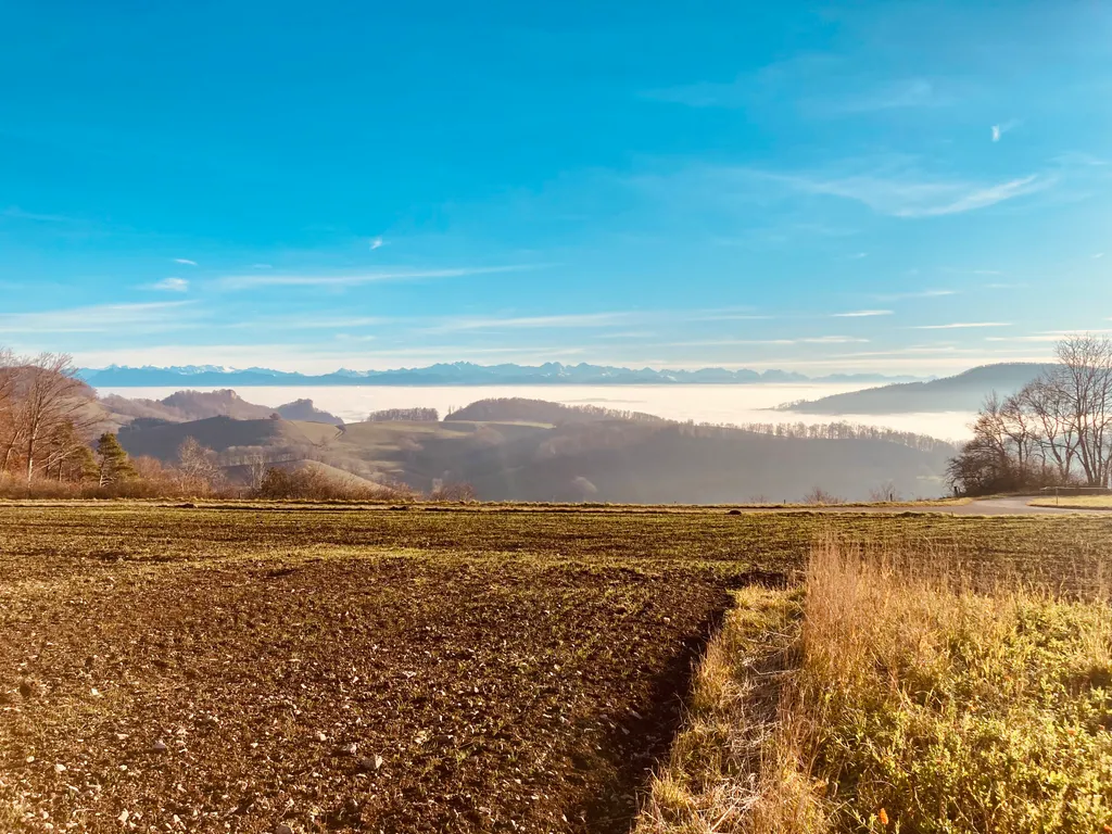 Wisenberg: Weitblick und Erdnähe