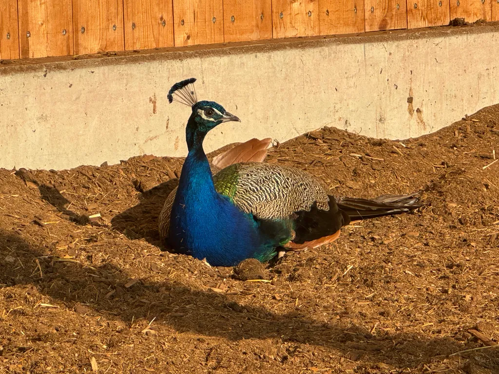 Wisenberg: Weitblick und Erdnähe