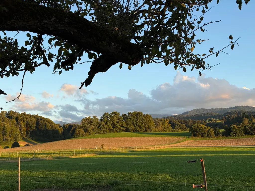 Image de Beatrice pour le spot 992