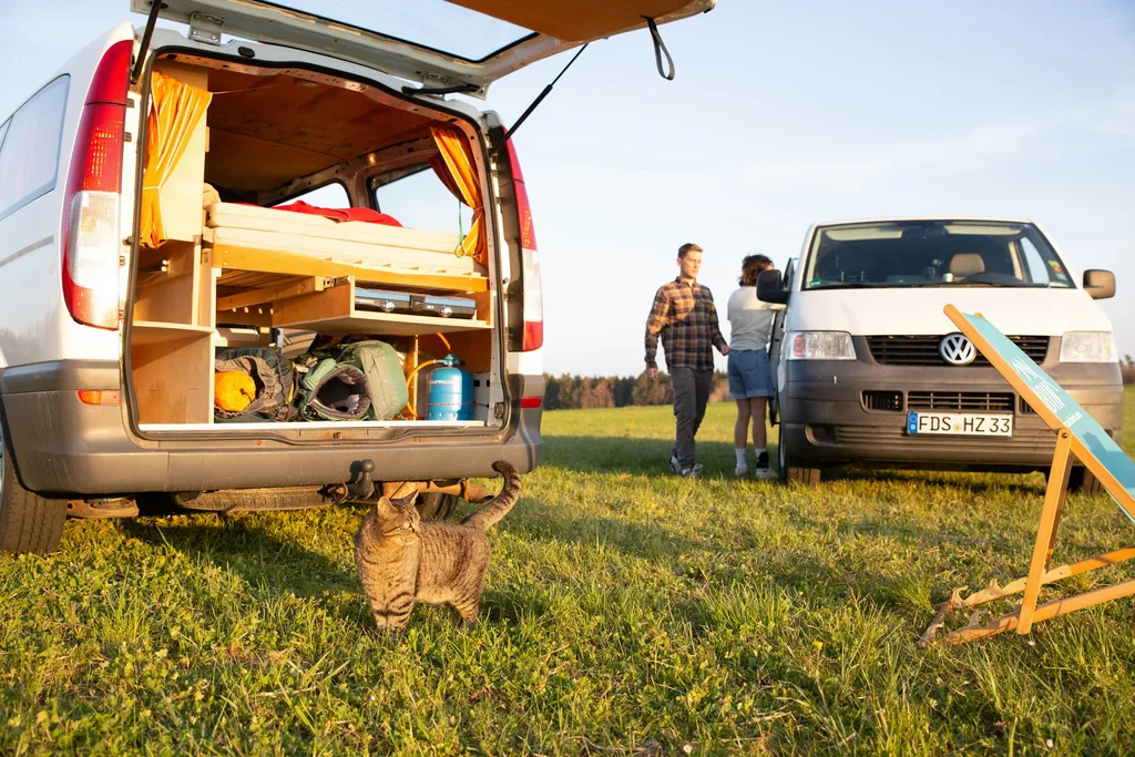 Weitsicht am Feldrand